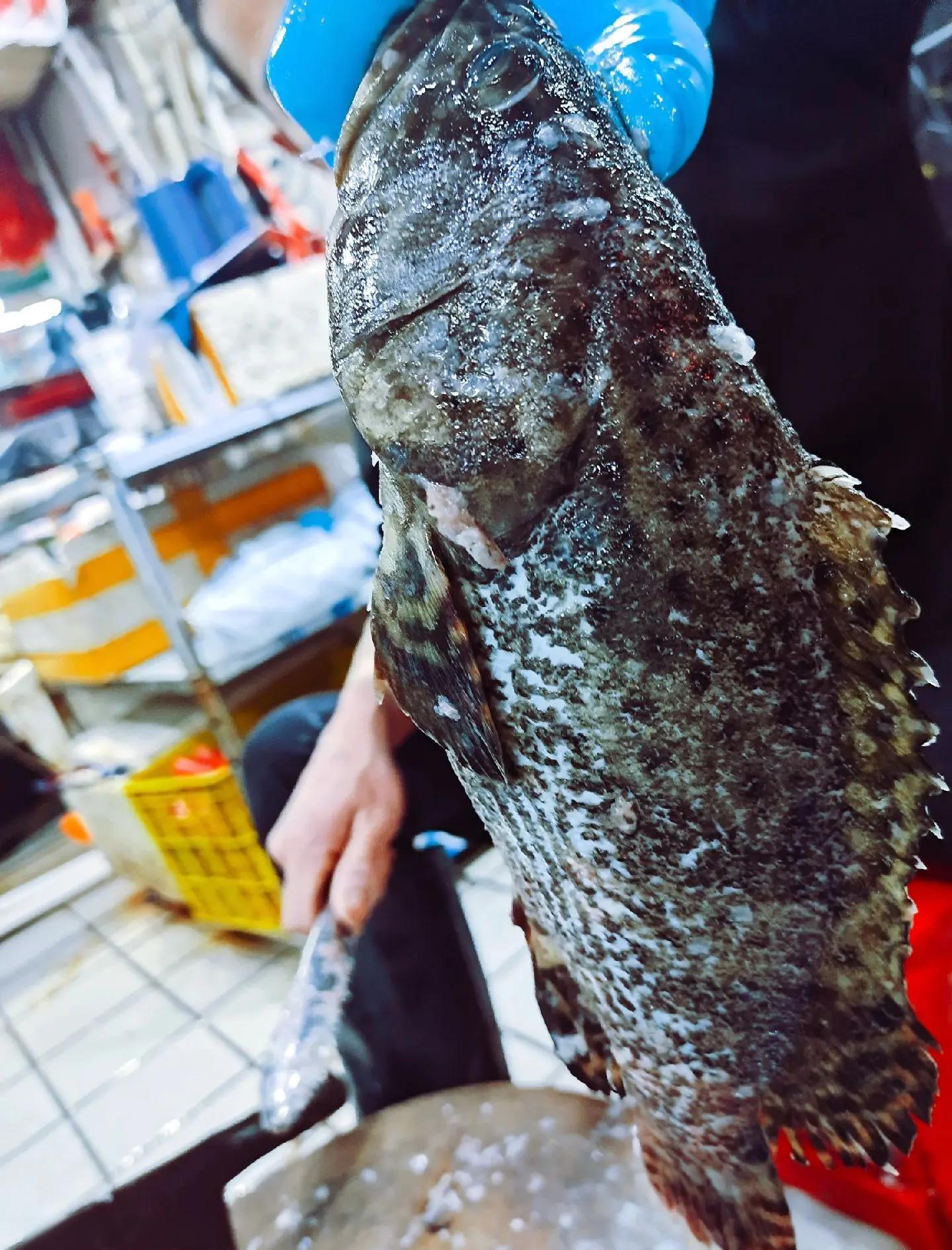老虎斑的做法(老虎斑的做法有几种)